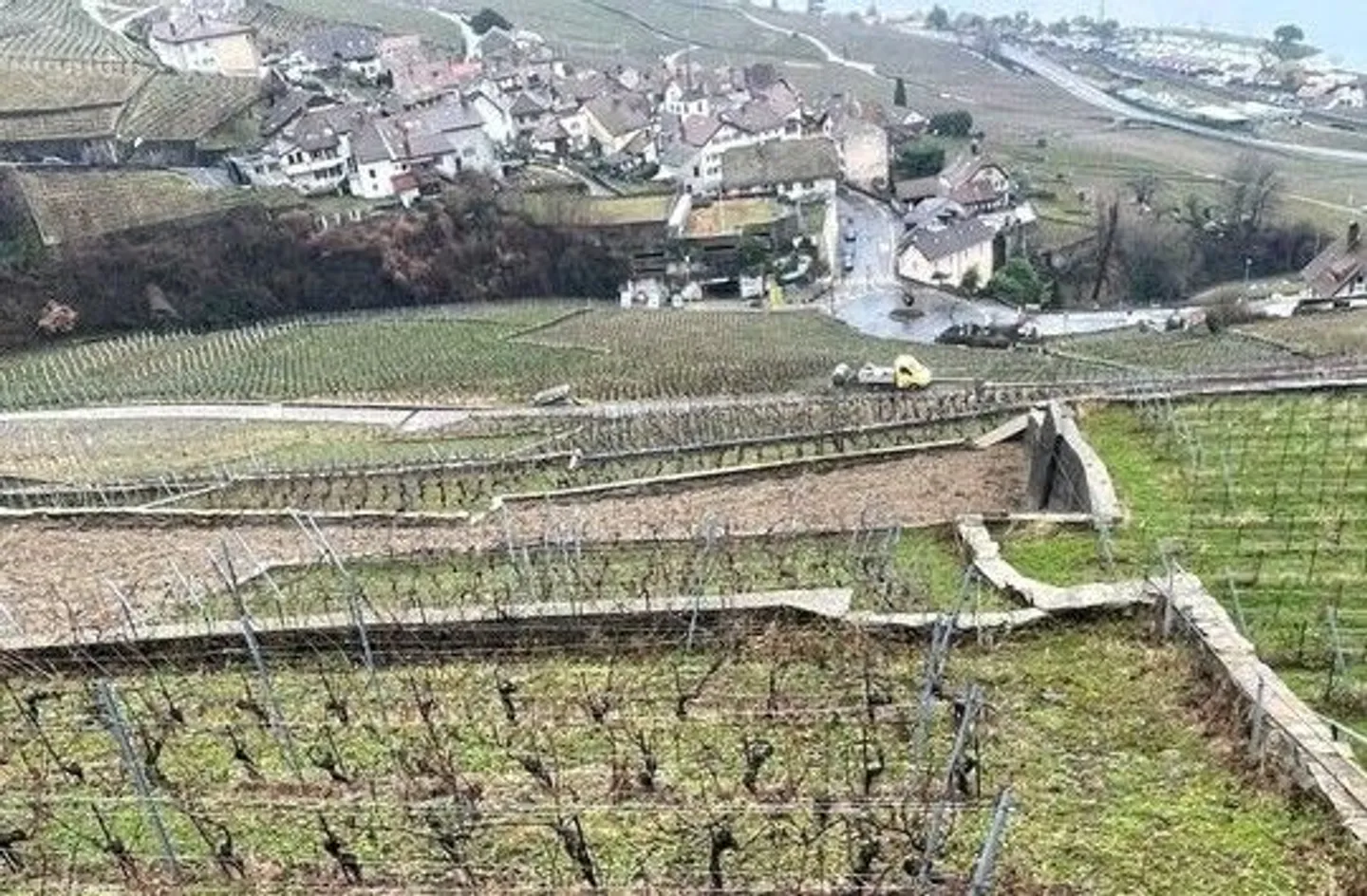 Vineyard Land for Auction - Photo 1 of 13