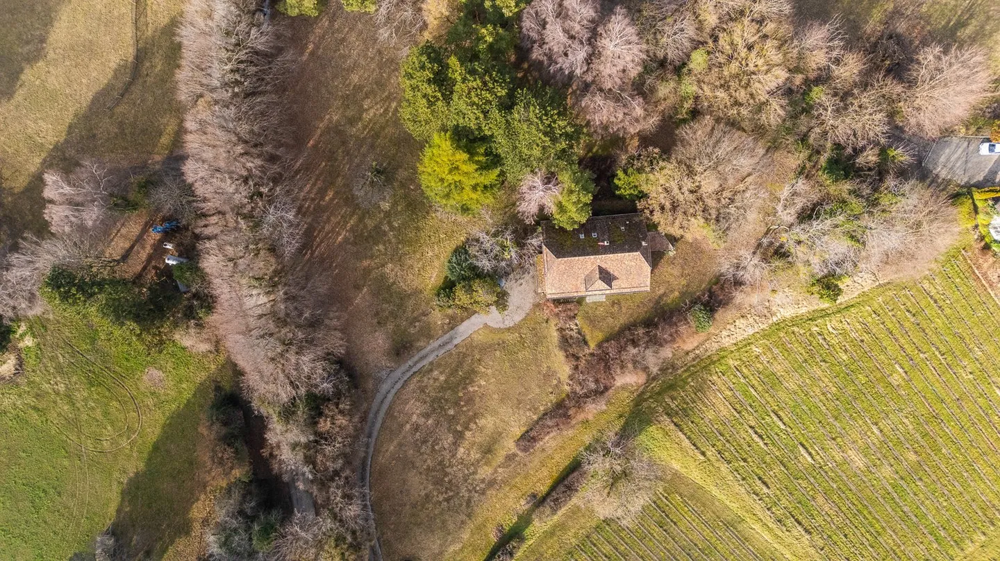 Magnificent Villa for Renovation in the Heart of the Vineyards with Exceptional Views of the Lake and the Alps - Photo 3 of 15