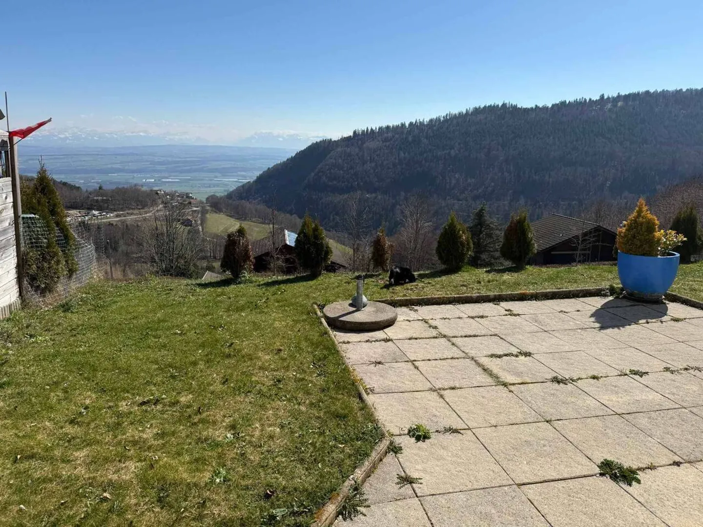 Charming Garden Apartment with Views - Photo 10 of 10