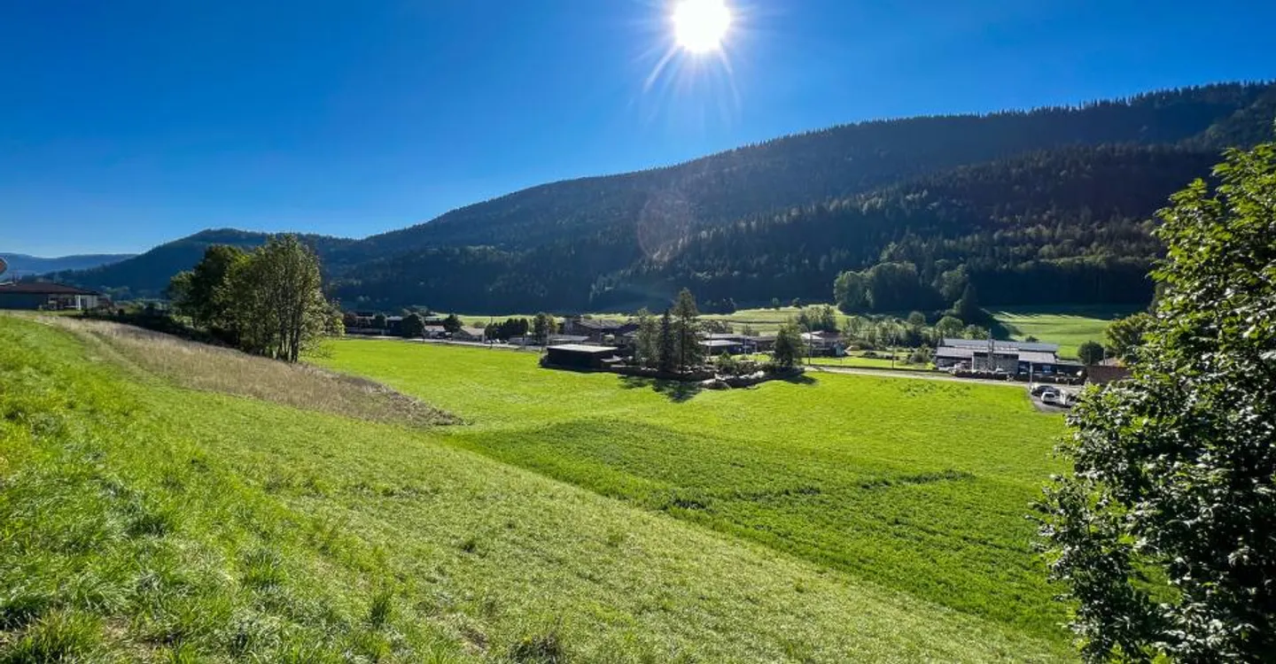 Terreno edificabile di 3'965 m2 Permesso di costruire rilasciato - Foto 8 di 10