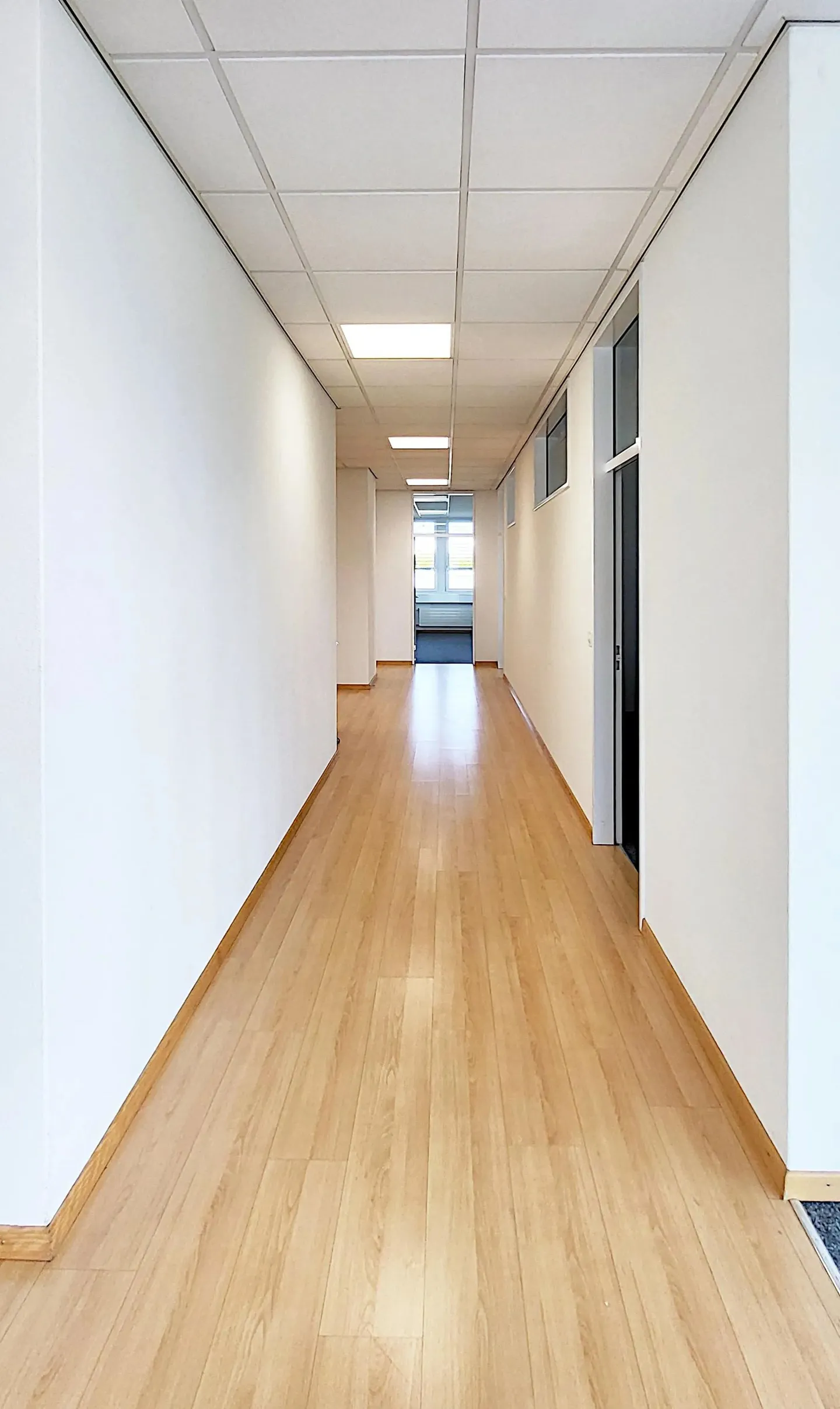 Commercial for rent, Bösch 80, in Hünenberg, Switzerland - Photo 5 of 11