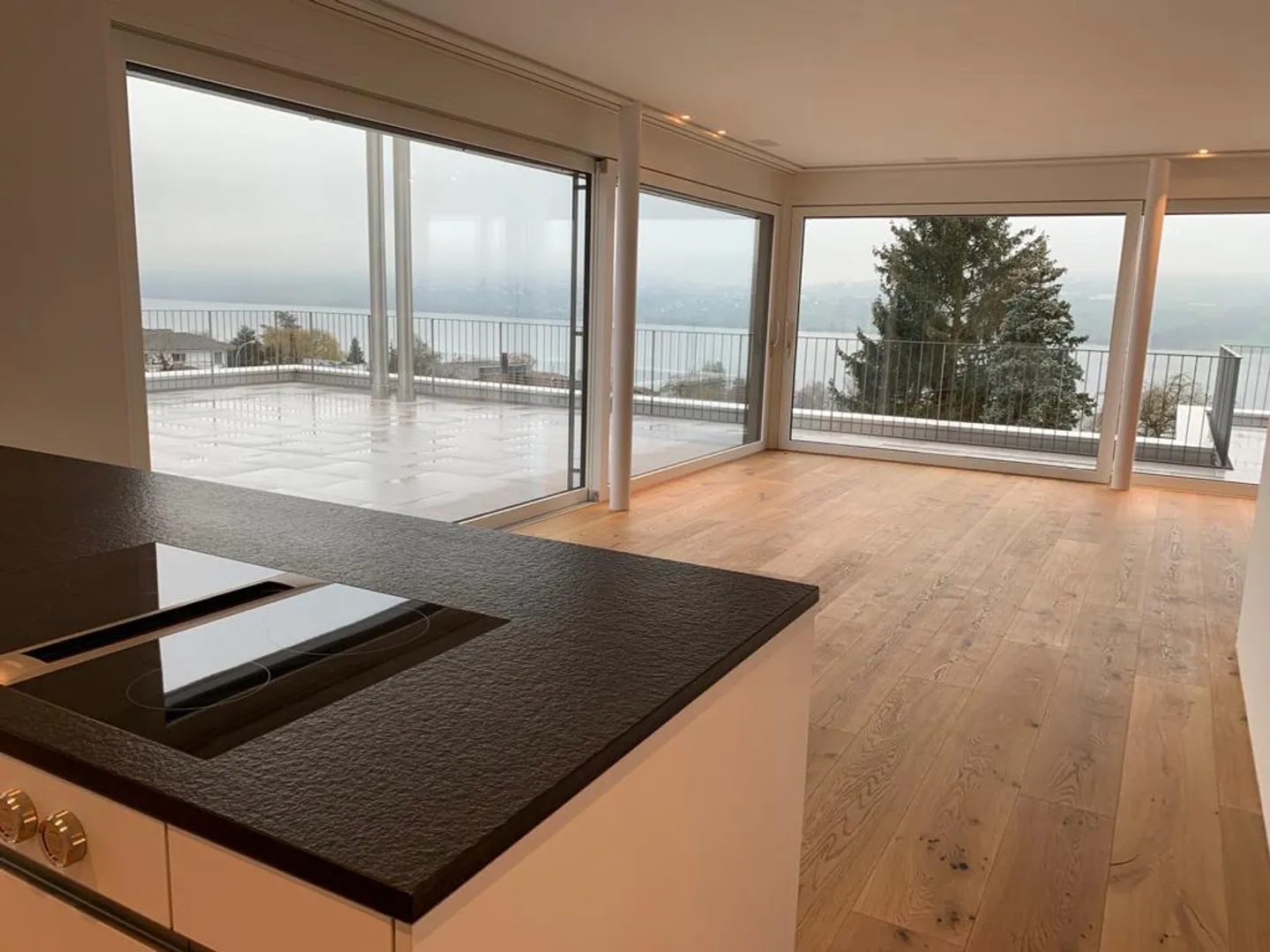 Stunning Attic Apartment with Lake View - Photo 5 of 11