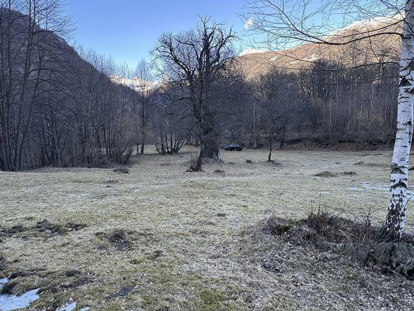 Prato di 2444 m2 in una posizione molto tranquilla - Foto 4 di 9