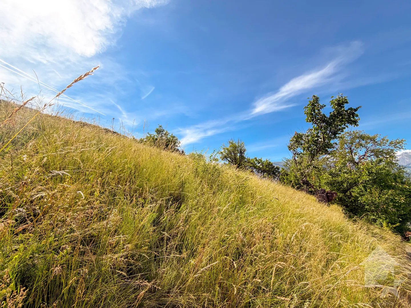 Baugrundstück von 625 m² – Panoramablick auf die Alpen - Foto 5 von 7