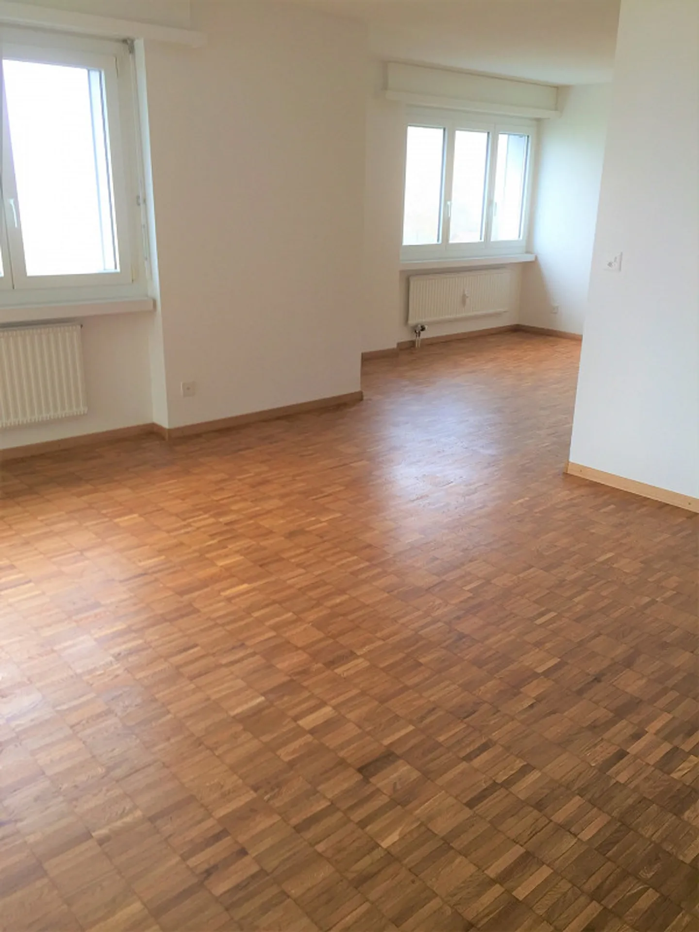 ruhige, helle 4 1/2  Zimmer-Wohnung mit schöner Aussicht - Foto 4 von 13