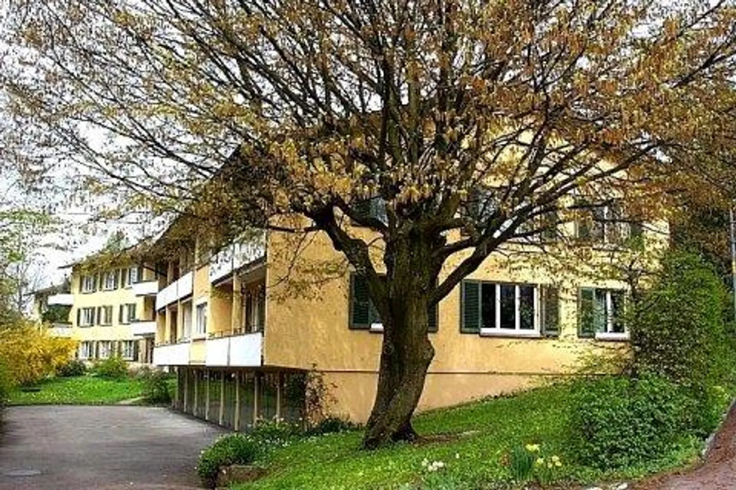 «In Zürich-Höngg an ruhiger Lage» - Foto 4 von 10