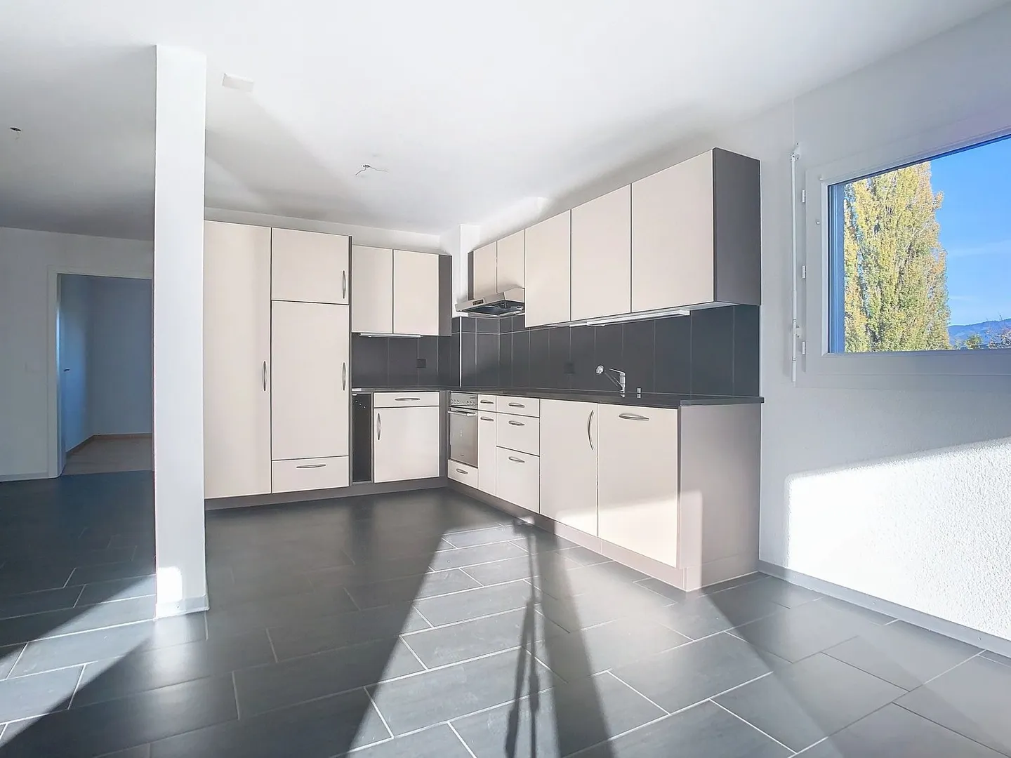 Appartement 4.5 pièces - Photo 4 sur 11