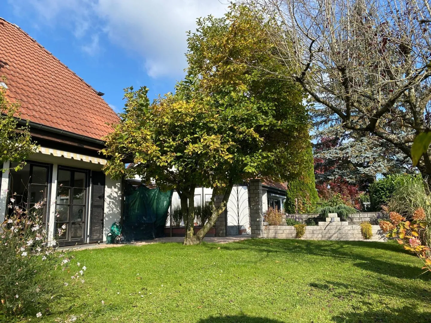 6.5 Room Single Family House in 2564 Bellmund - Photo 13 of 15