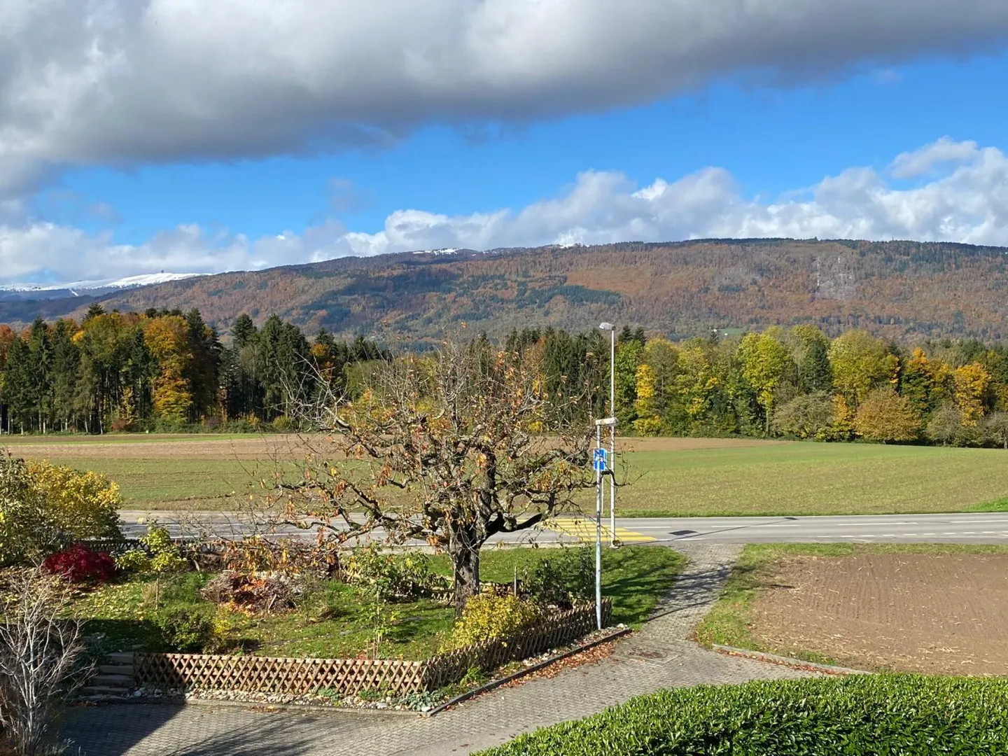 6.5 Room Single Family House in 2564 Bellmund - Photo 14 of 15