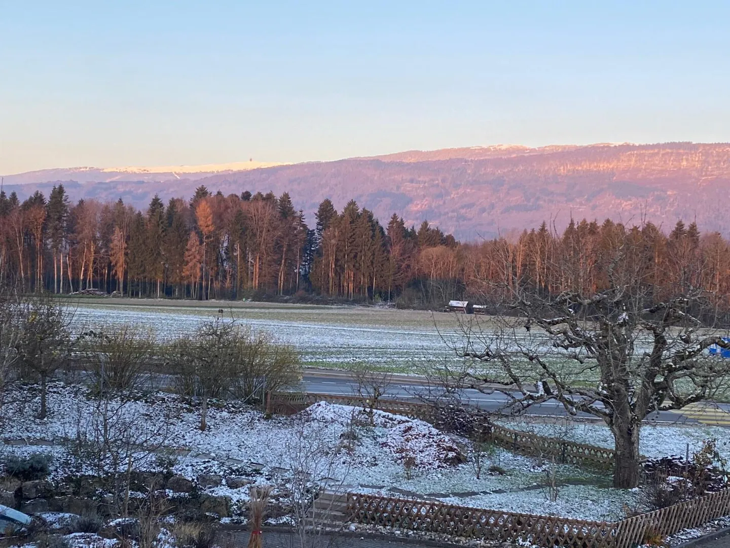 6.5 Room Single Family House in 2564 Bellmund - Photo 15 of 15