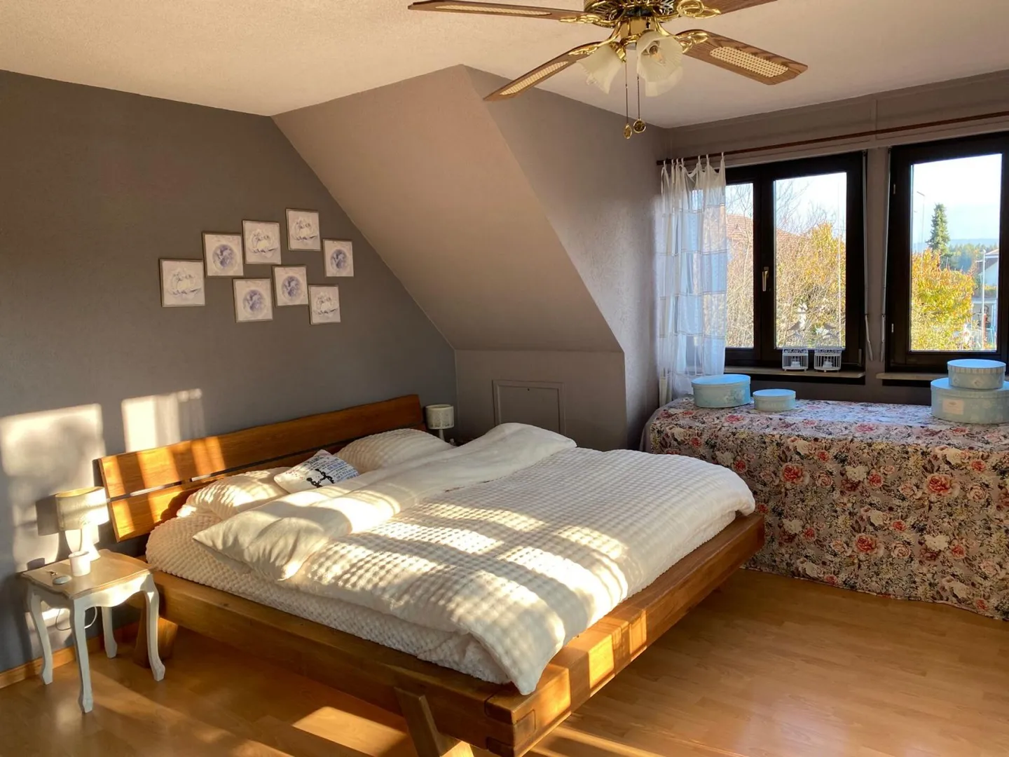 6.5 Room Single Family House in 2564 Bellmund - Photo 5 of 15