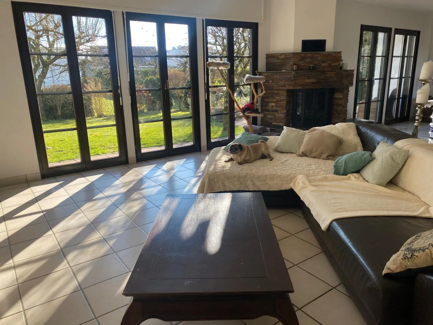 6.5 Room Single Family House in 2564 Bellmund - Photo 8 of 15