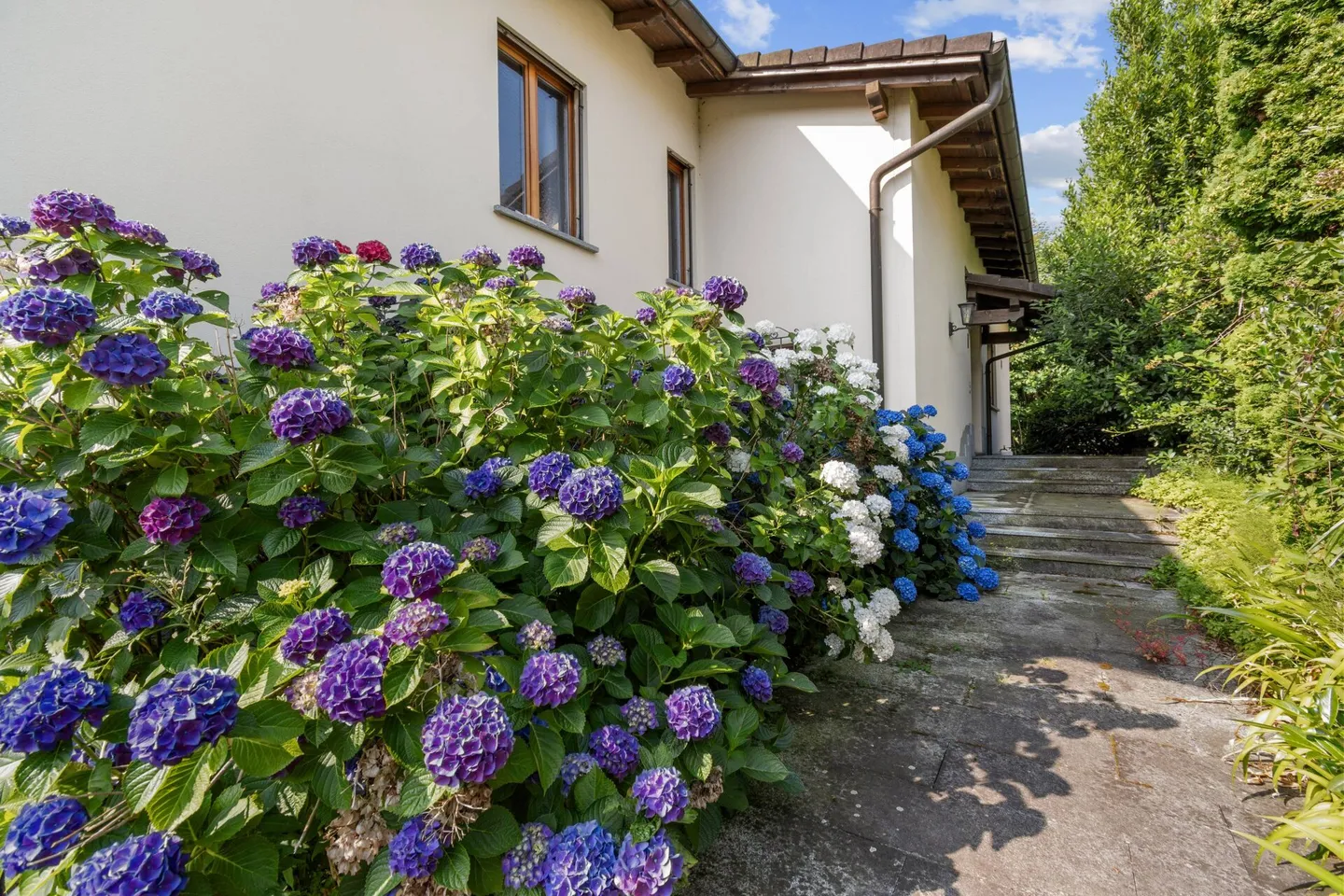 Villa individuelle avec grand parc privé à Ponte Capriasca - Photo 7 sur 15