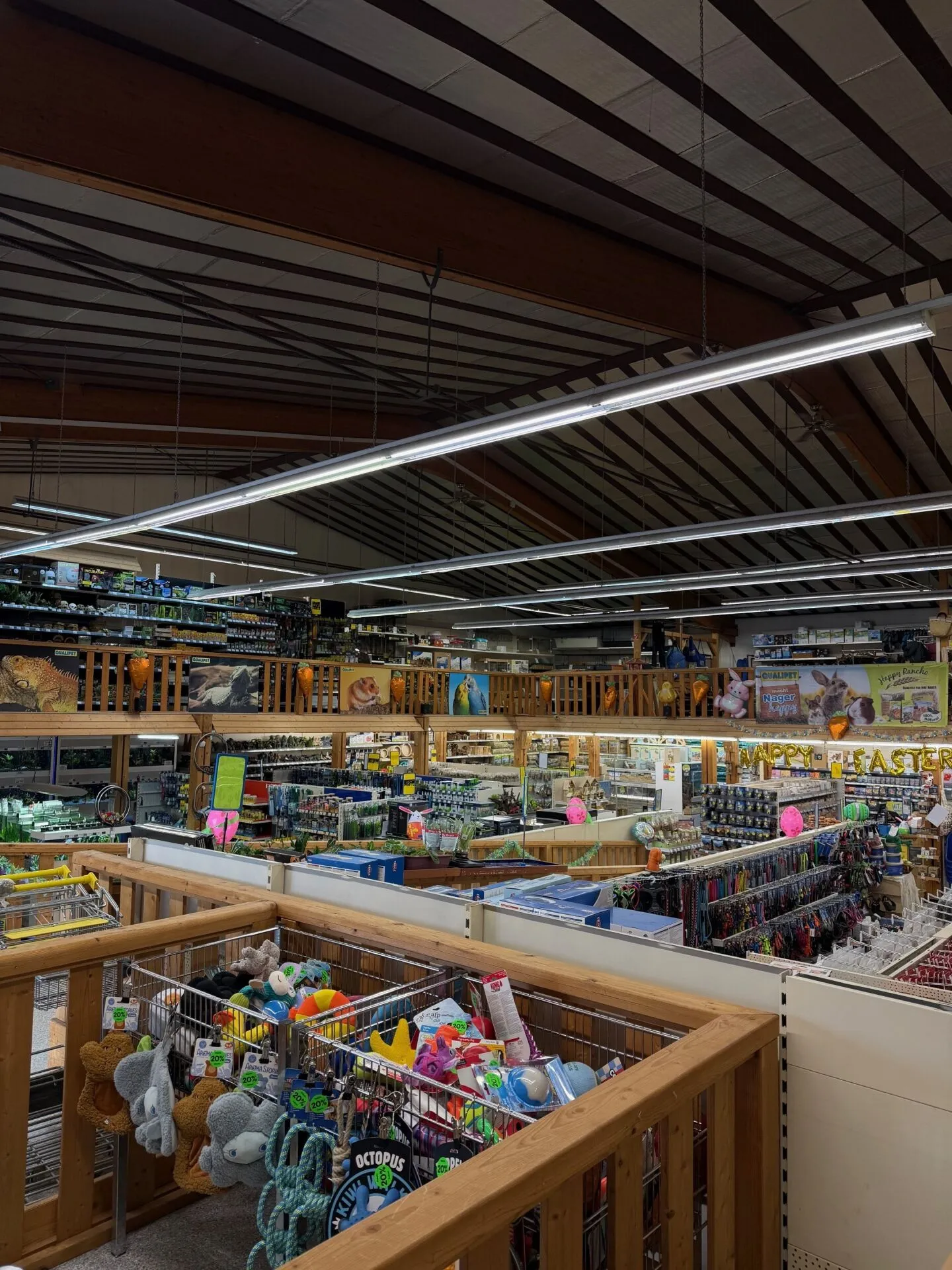 800 m2 Sales or Commercial Space in the Industry Dietikon - Photo 2 of 4