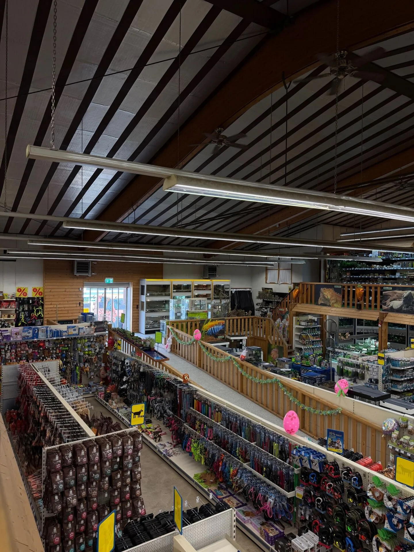 800 m2 Sales or Commercial Space in the Industry Dietikon - Photo 4 of 4