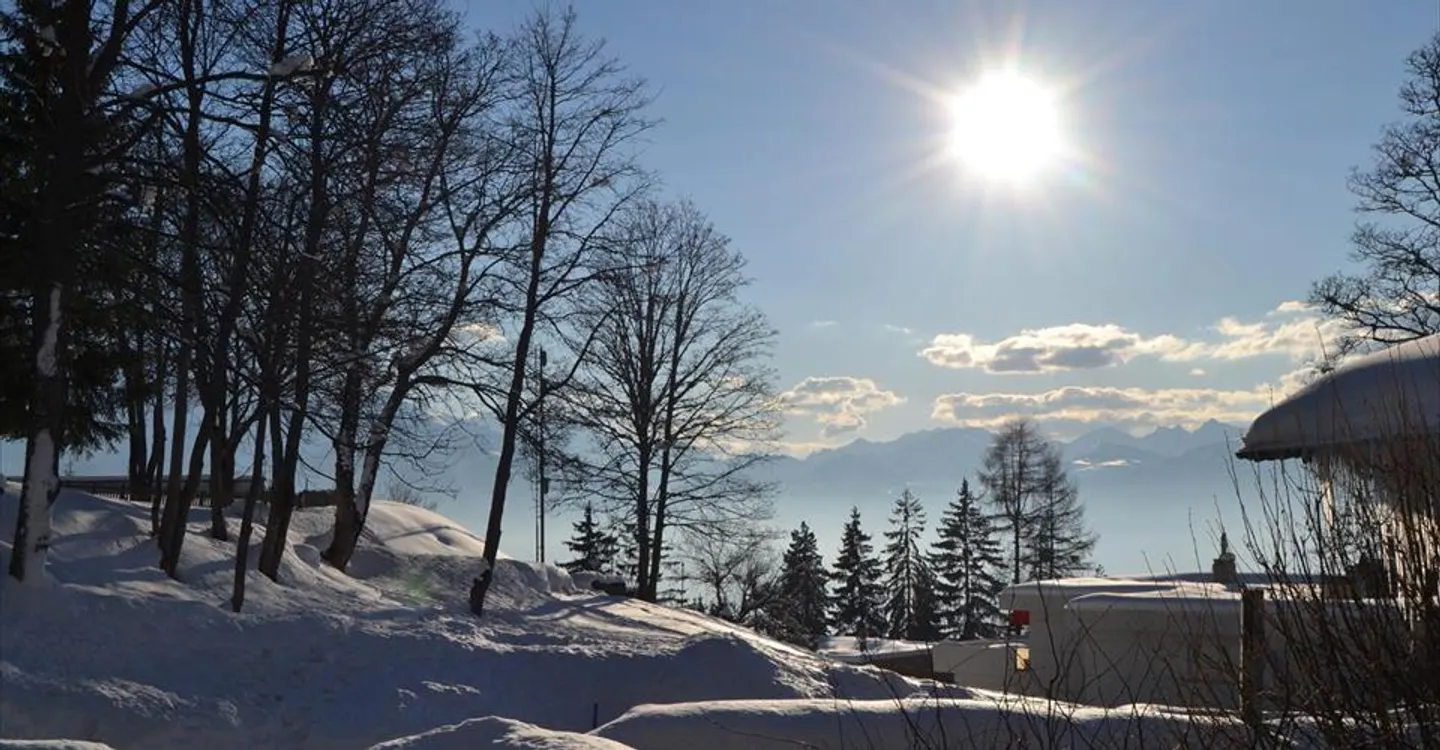 Appartamento 4.5 stanze - Foto 12 di 14