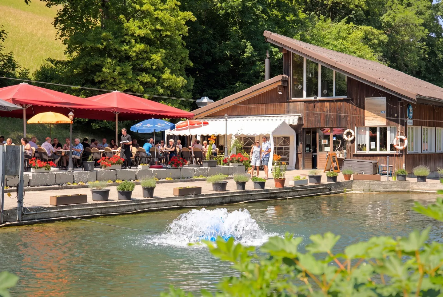 Restaurant «Forellenhof» - Wittnauerstrasse 201, 4468 Kienberg - Photo 1 sur 13