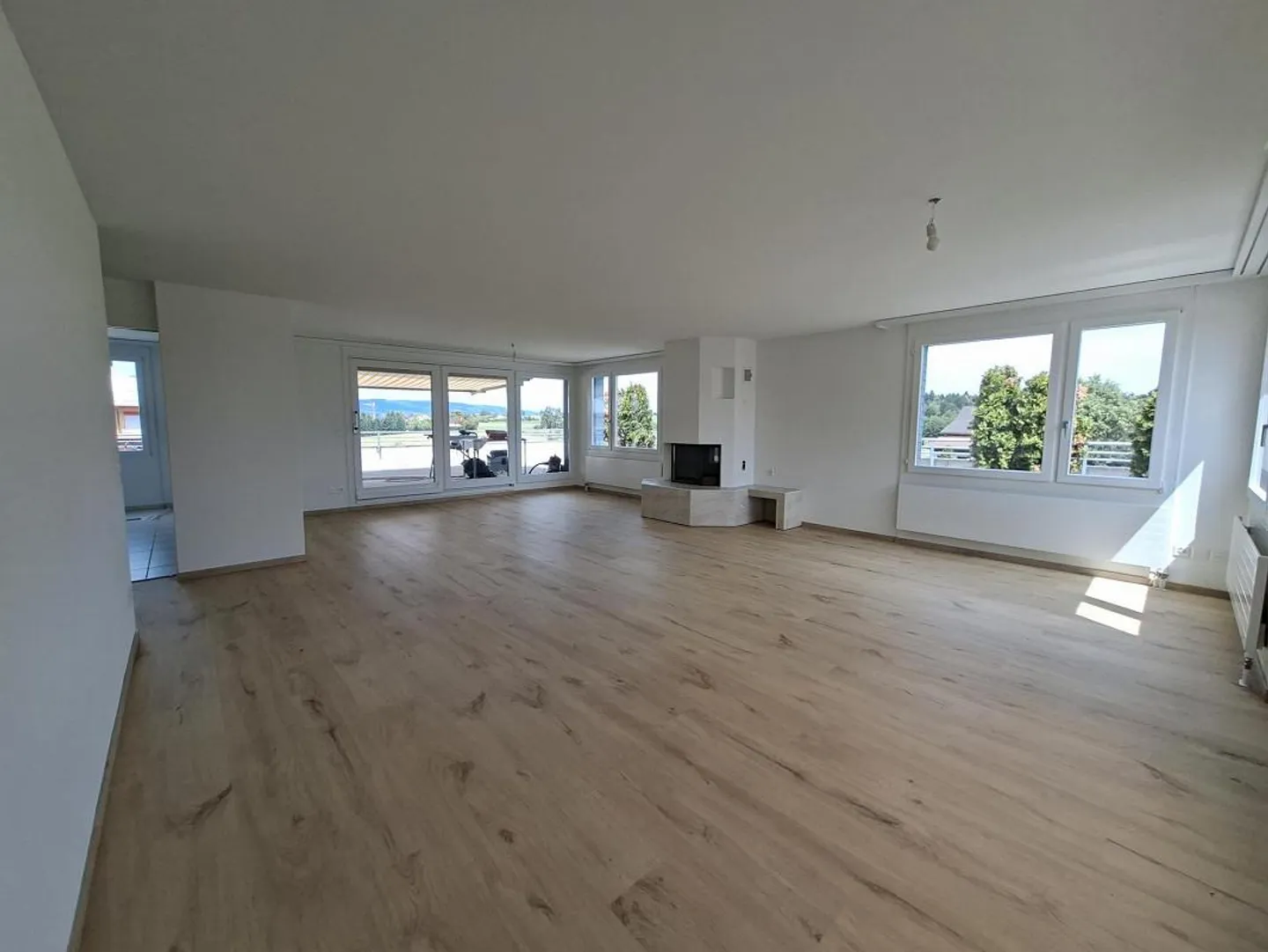 Stylish Attic in Hünenberg with Unmatched View - Photo 1 of 11