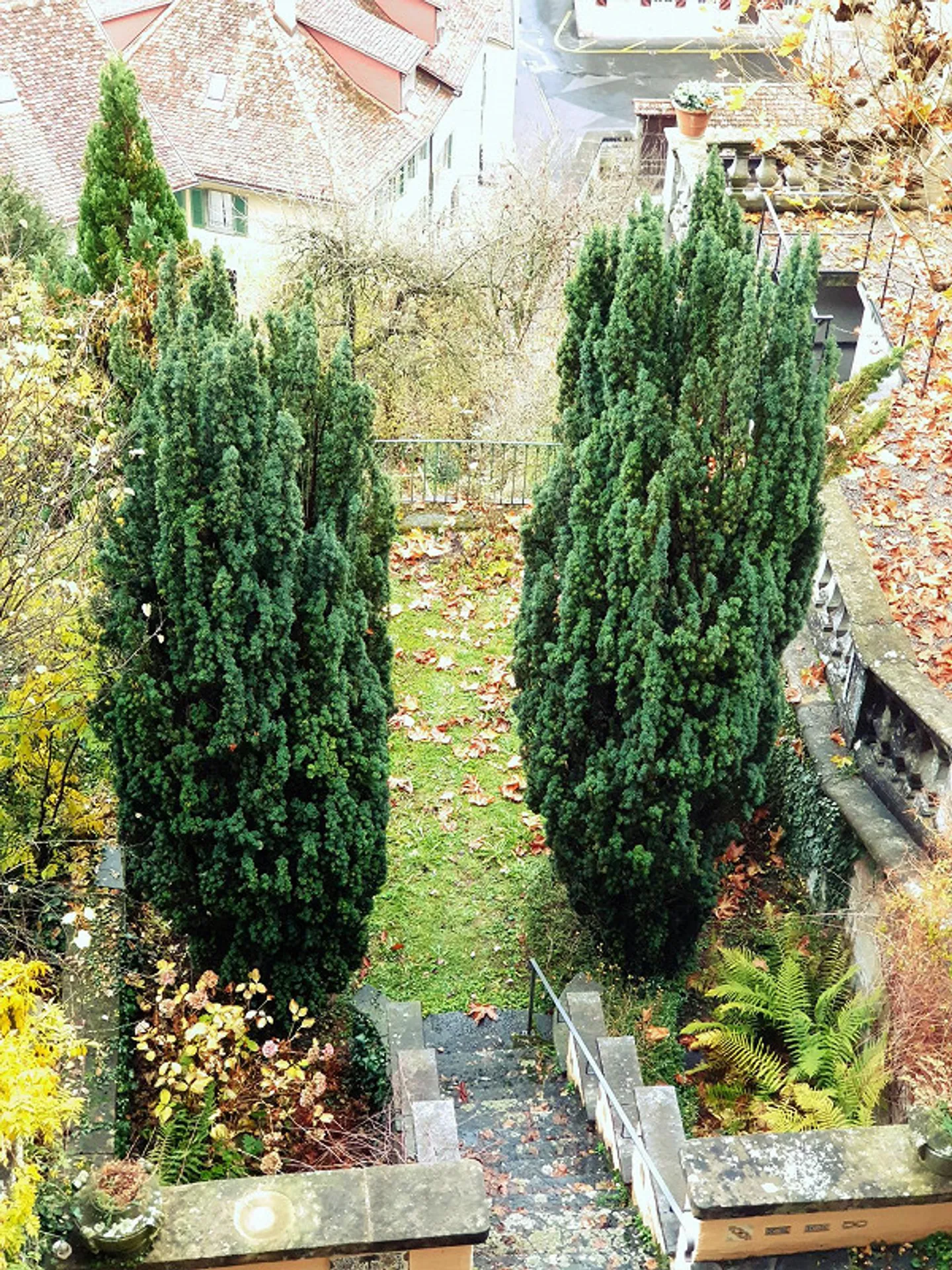 Bel appartement ancien spacieux de 2,5 pièces à Junkerngasse - Photo 14 sur 15