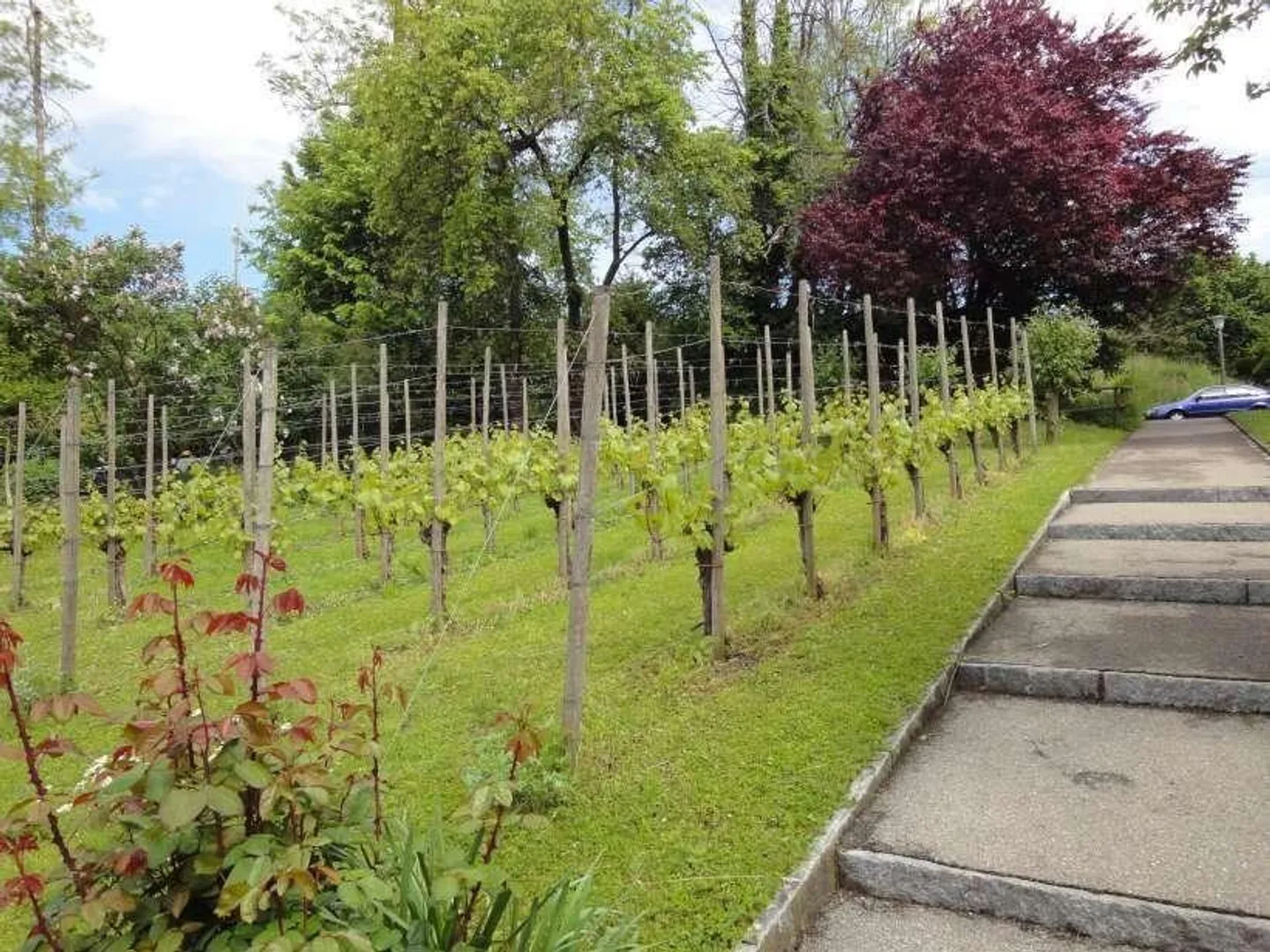 Bellissimo e soleggiato appartamento in una posizione tranquilla - Foto 2 di 8