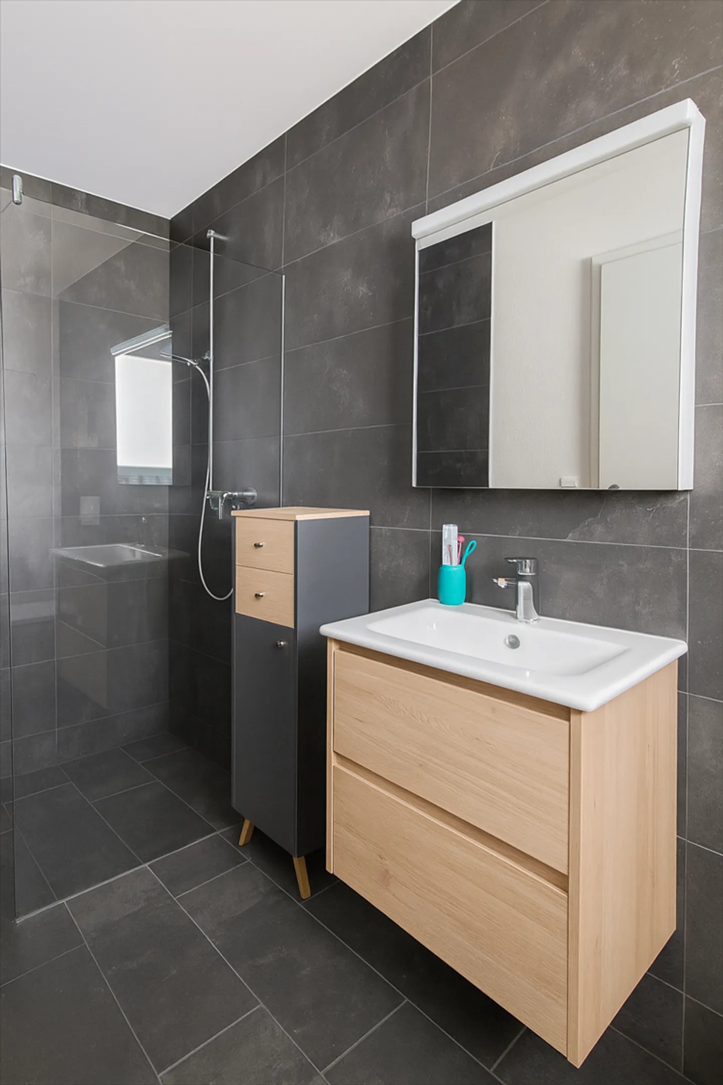 Attique 4.5 pièces - Photo 6 sur 8