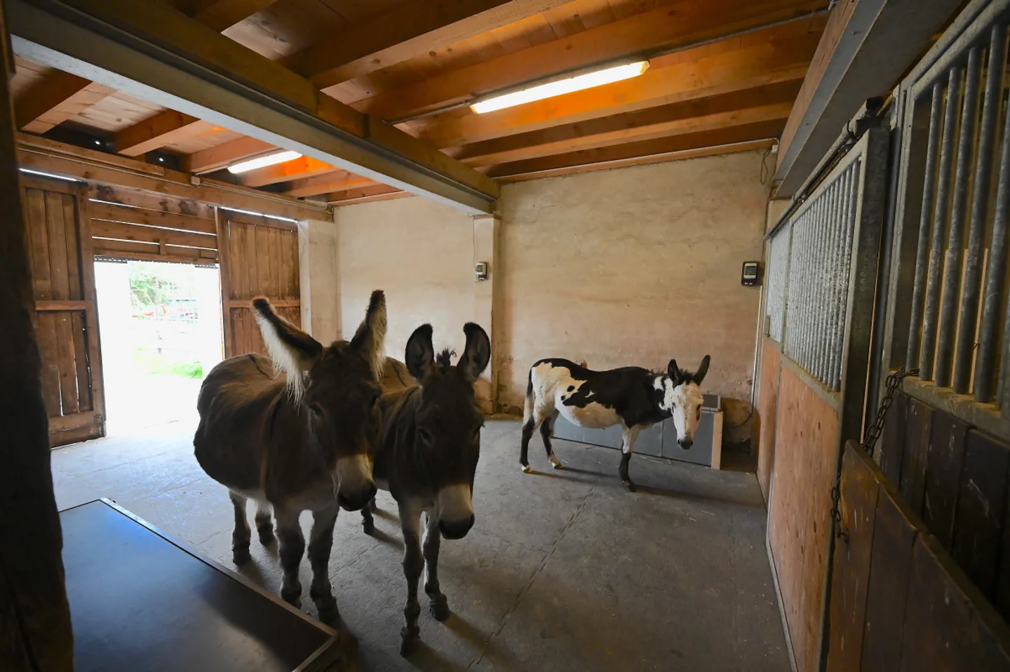 Ferme 10 pièces - Photo 10 sur 11