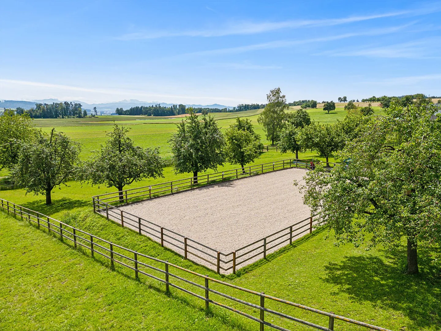 Expérience d'un genre particulier - Photo 4 sur 14