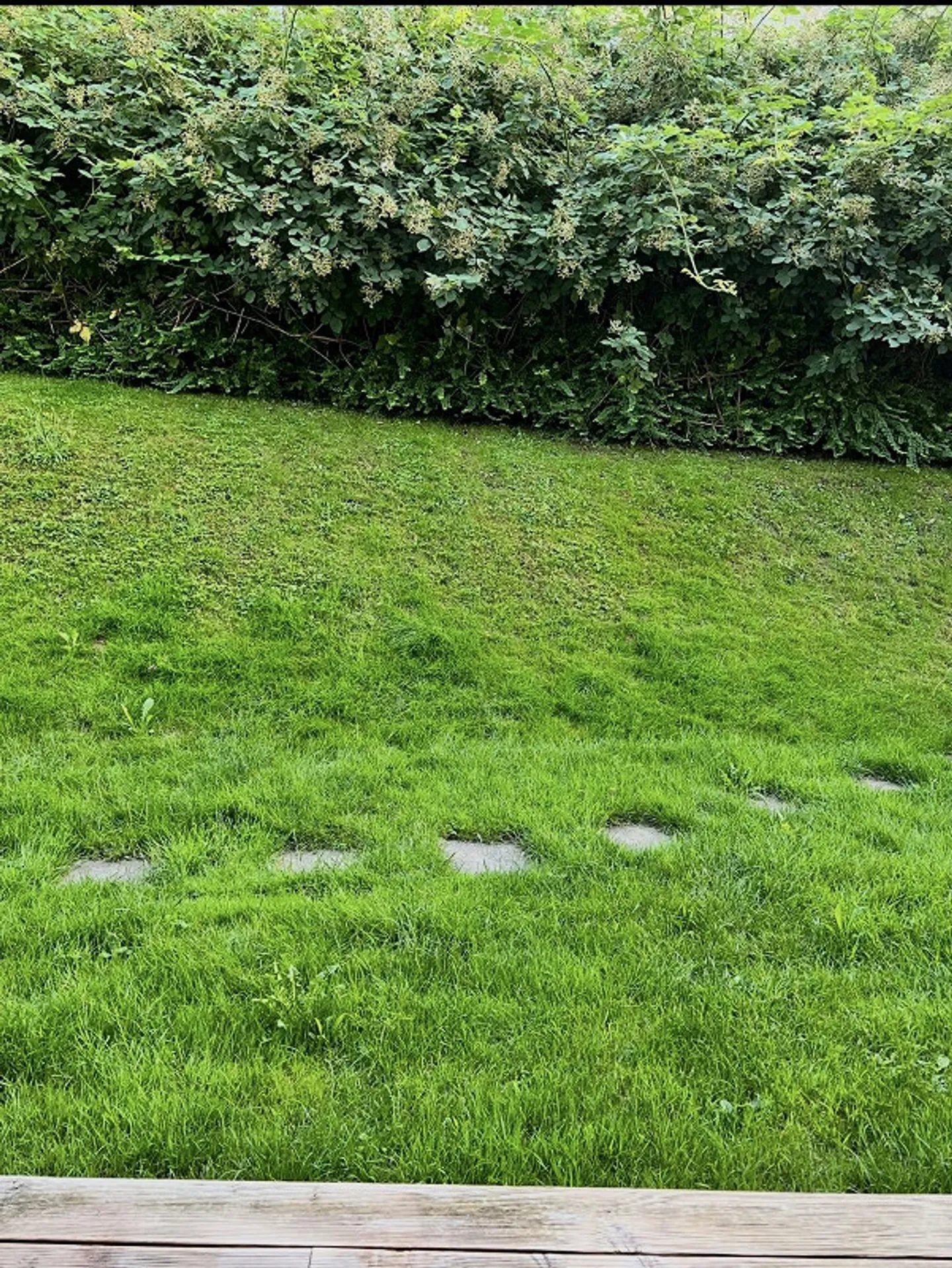 Appartamento di 3,5 stanze a Horgen - Foto 7 di 8
