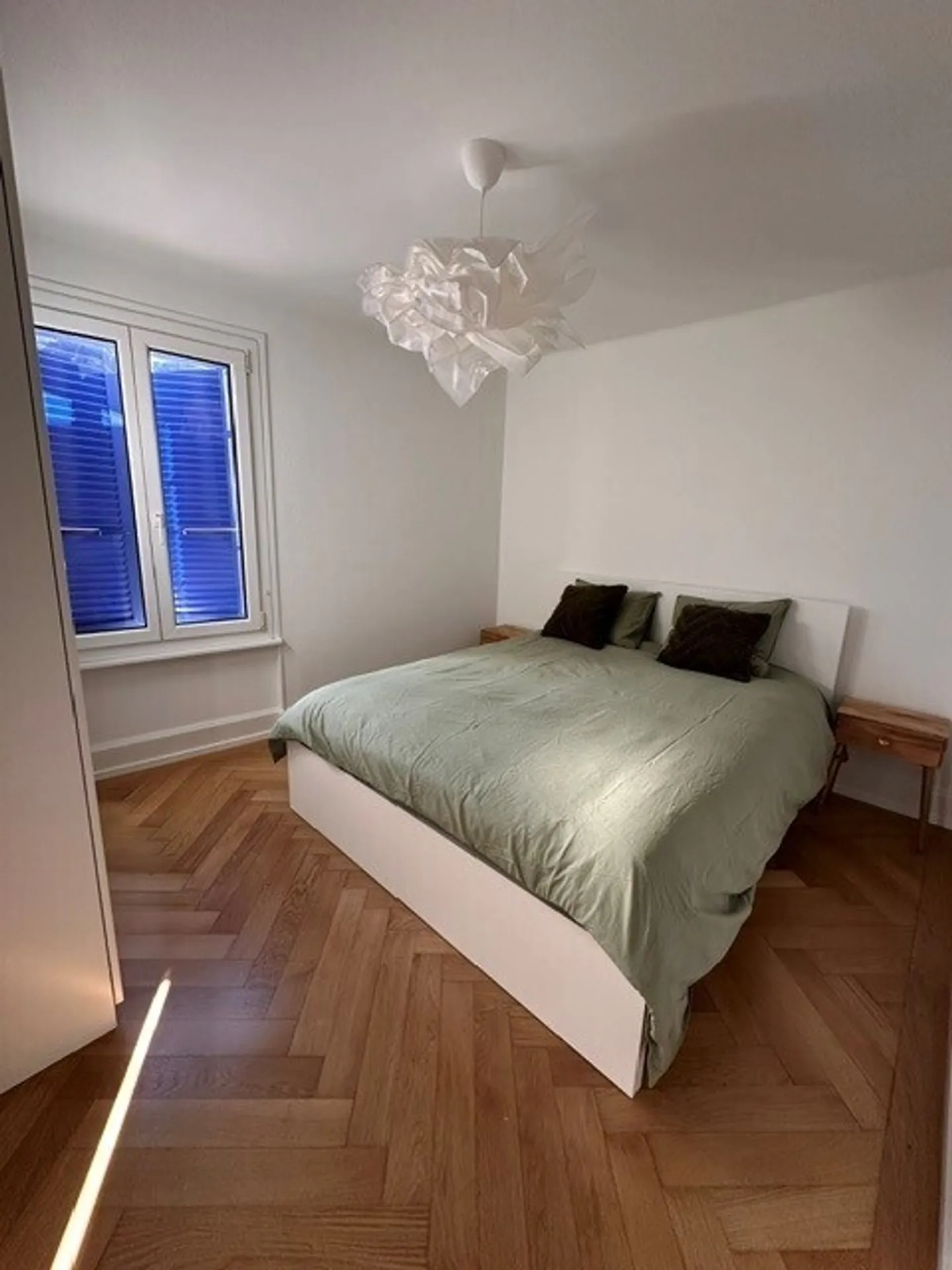 Beautiful furnished apartment with 2.5 rooms and a view of the lake and the Alps - Photo 1 of 6