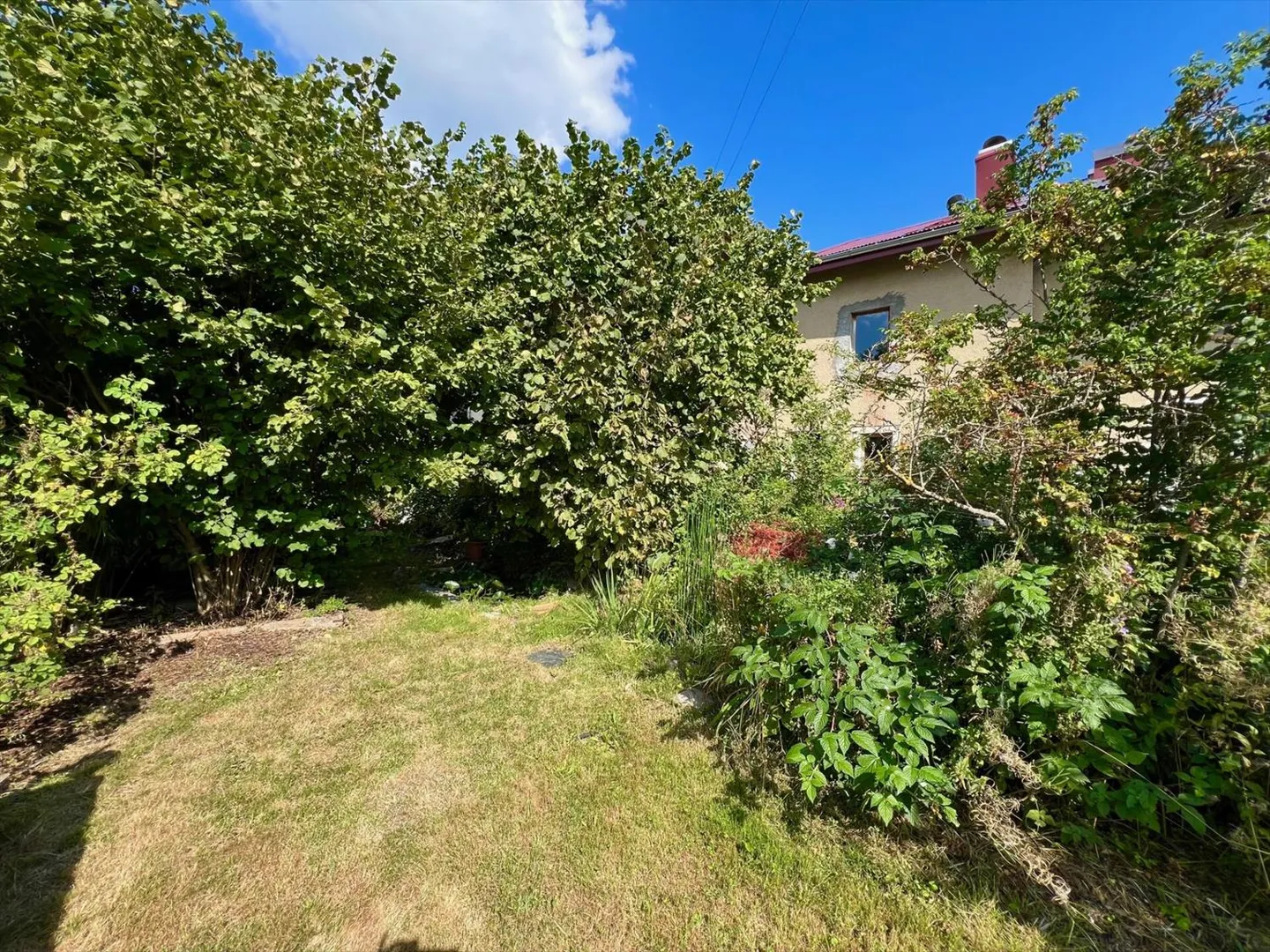 Alte teilweise renovierte Farm + separates neues Apartment - Foto 1 von 13