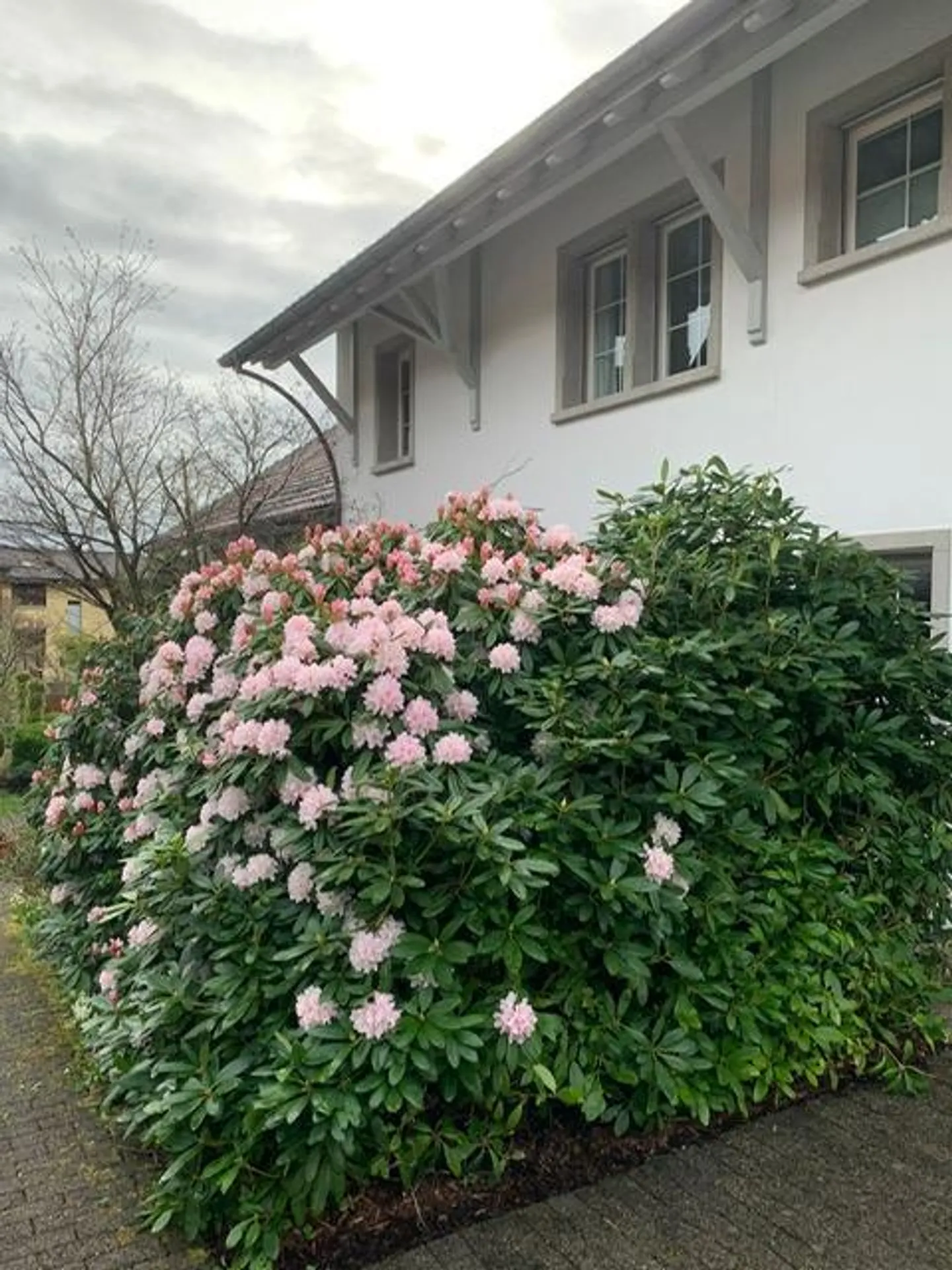 House in Wilen b. Wollerau - Photo 11 of 13