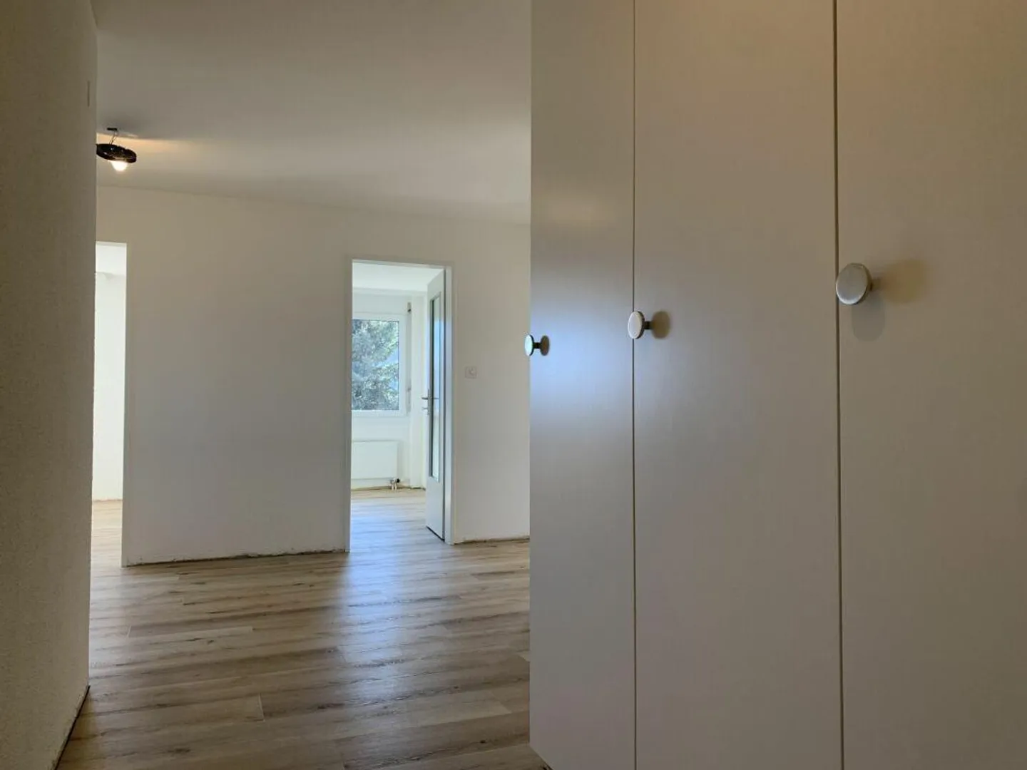 Appartement 3 1/2 pièces fraîchement rénové, spacieux et lumineux - Photo 8 sur 9