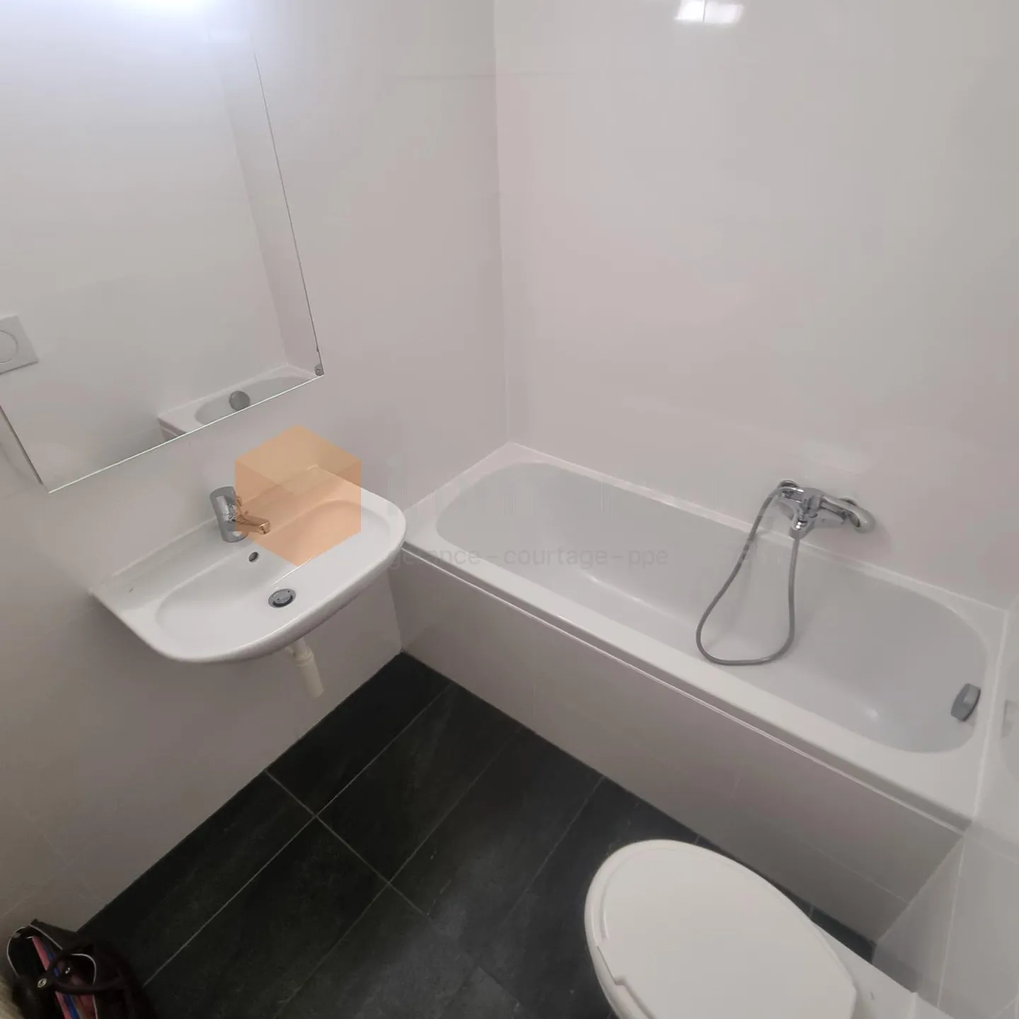 Appartamento 3.5 Stanze Incantevole - Foto 8 di 9