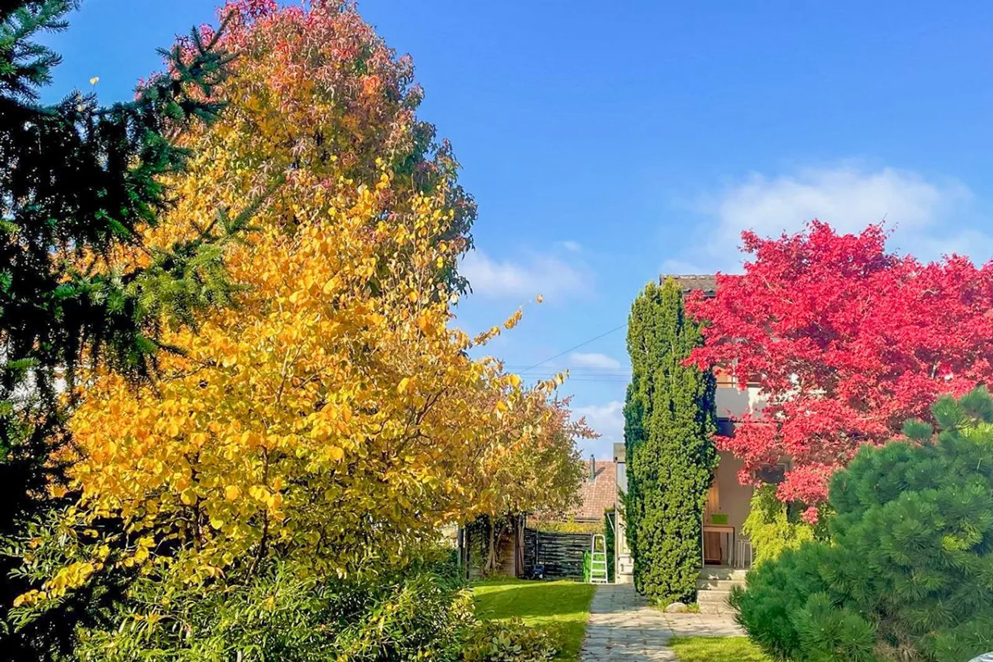 Kompaktes Haus, nahe an der Landwirtschaftszone, an sehr ruhiger Lage - Photo 3 sur 13