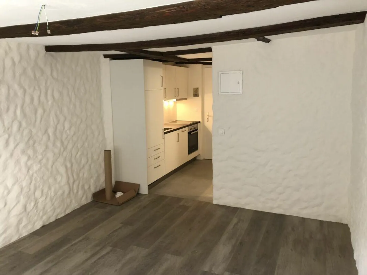 Appartement 1 pièce confortable avec poutres en bois et confort moderne - Photo 4 sur 6