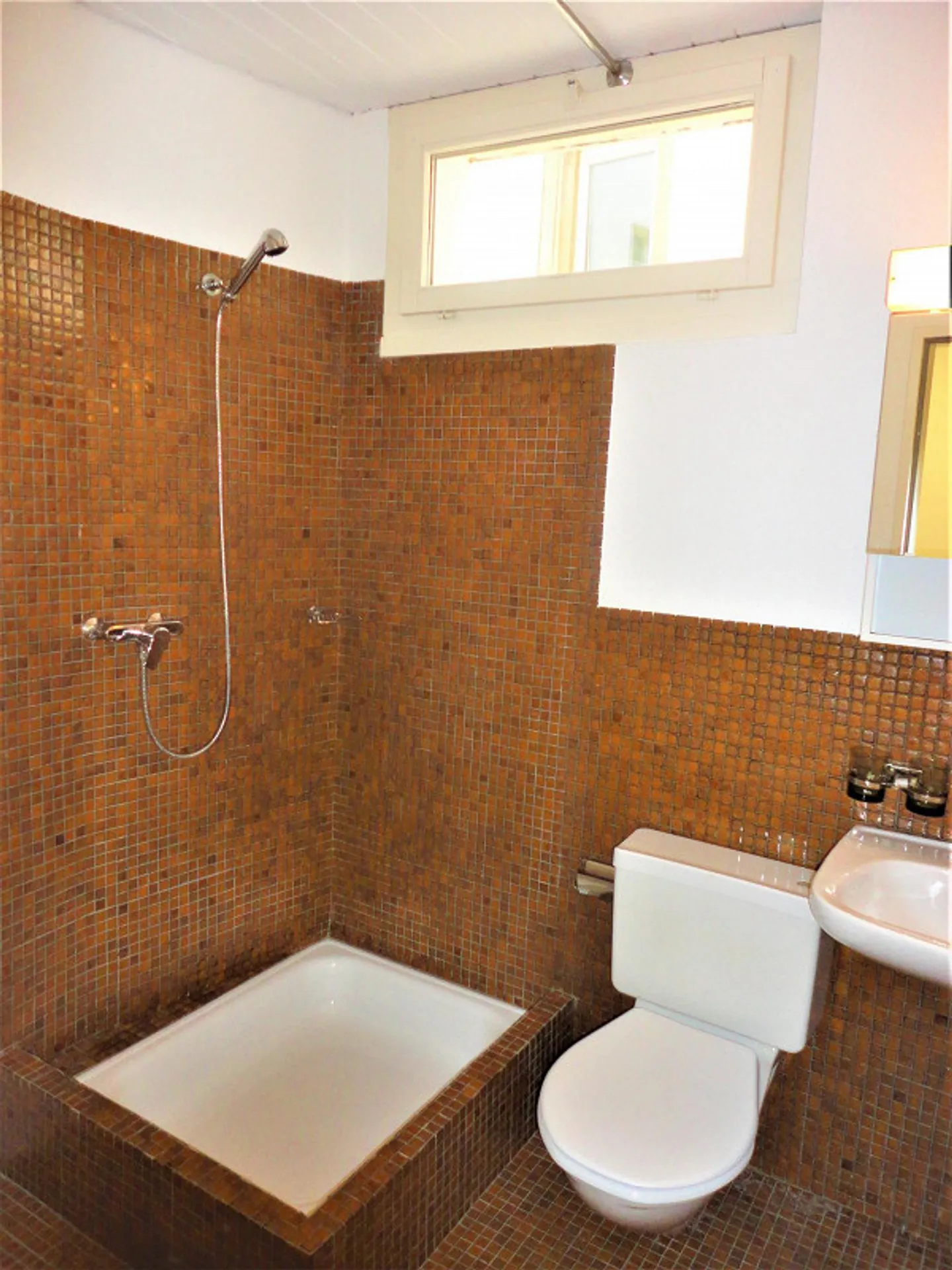 Appartement 1.0 pièce à Schaffhouse - Photo 5 sur 6