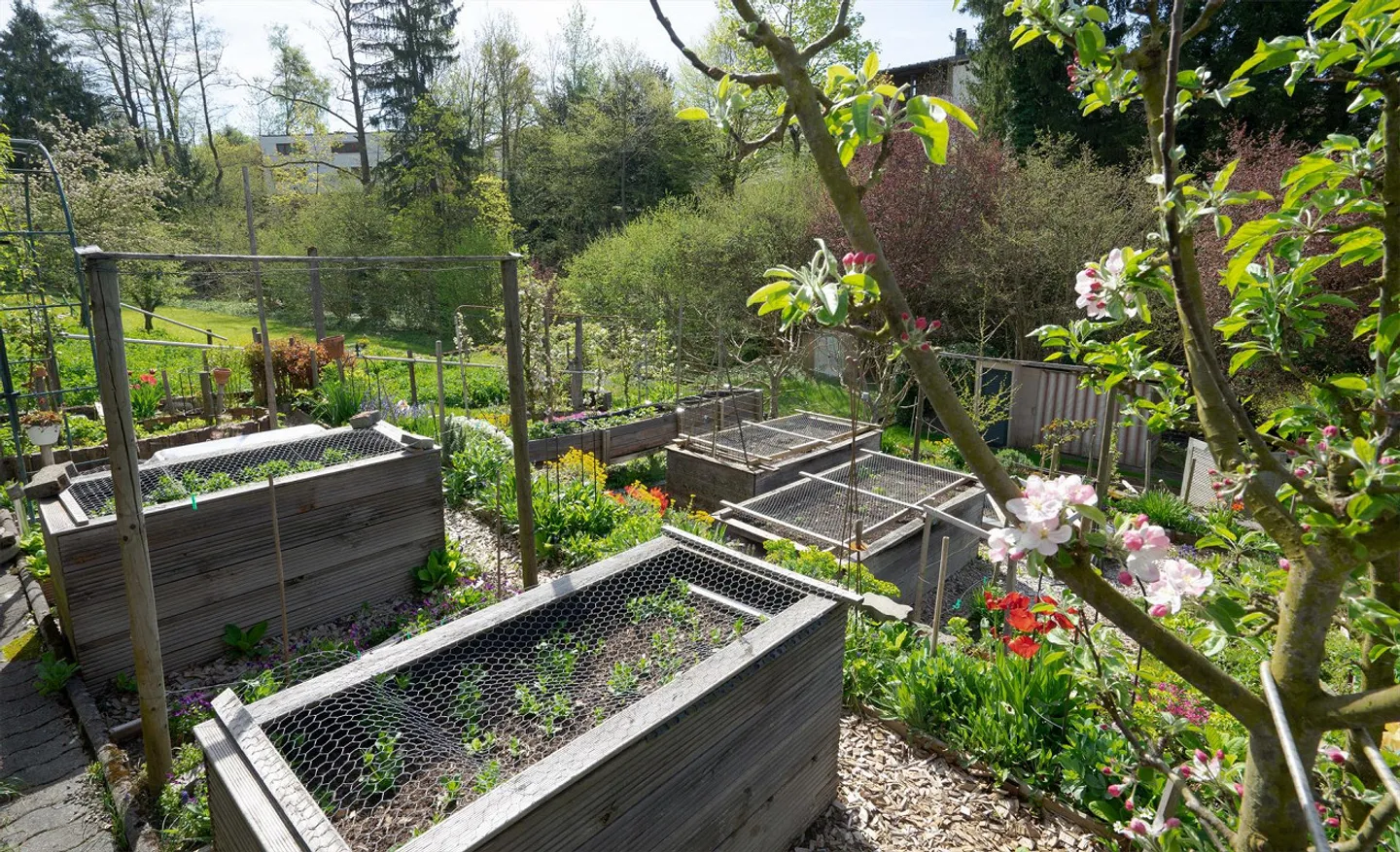 Casa Incantevole per Amanti del Giardino - Foto 5 di 26