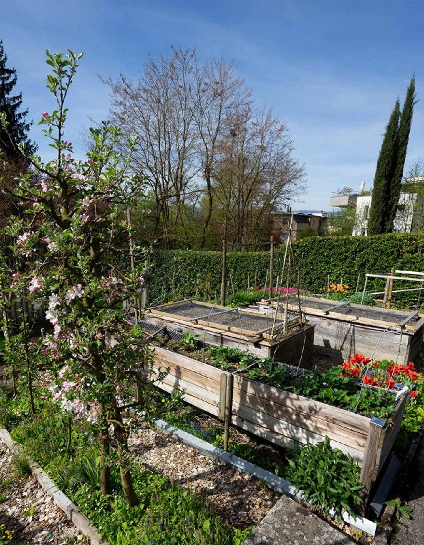 Casa Incantevole per Amanti del Giardino - Foto 6 di 26