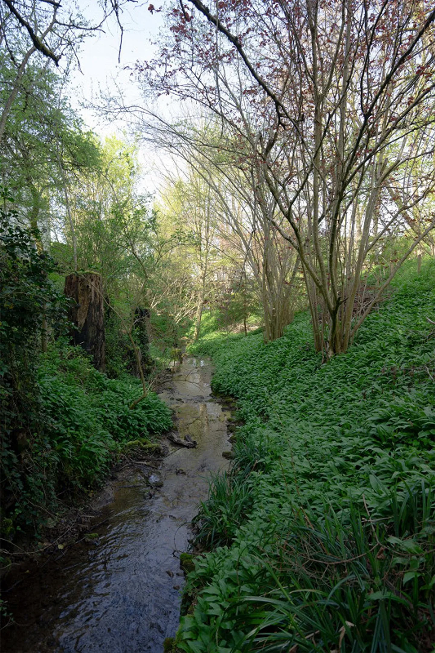 Casa Incantevole per Amanti del Giardino - Foto 7 di 26