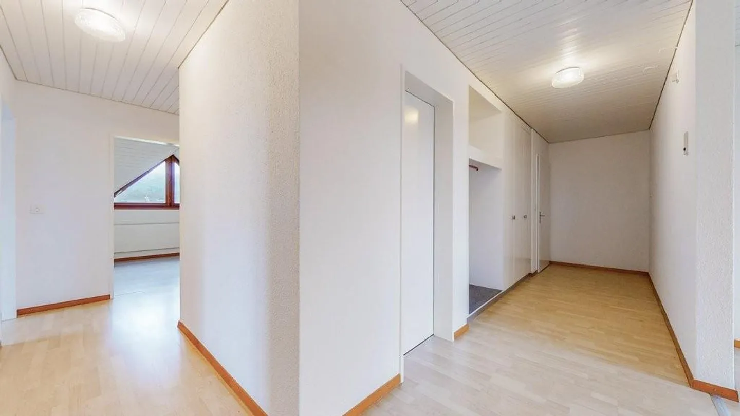 Large apartment seeks tenant! - Photo 5 of 10