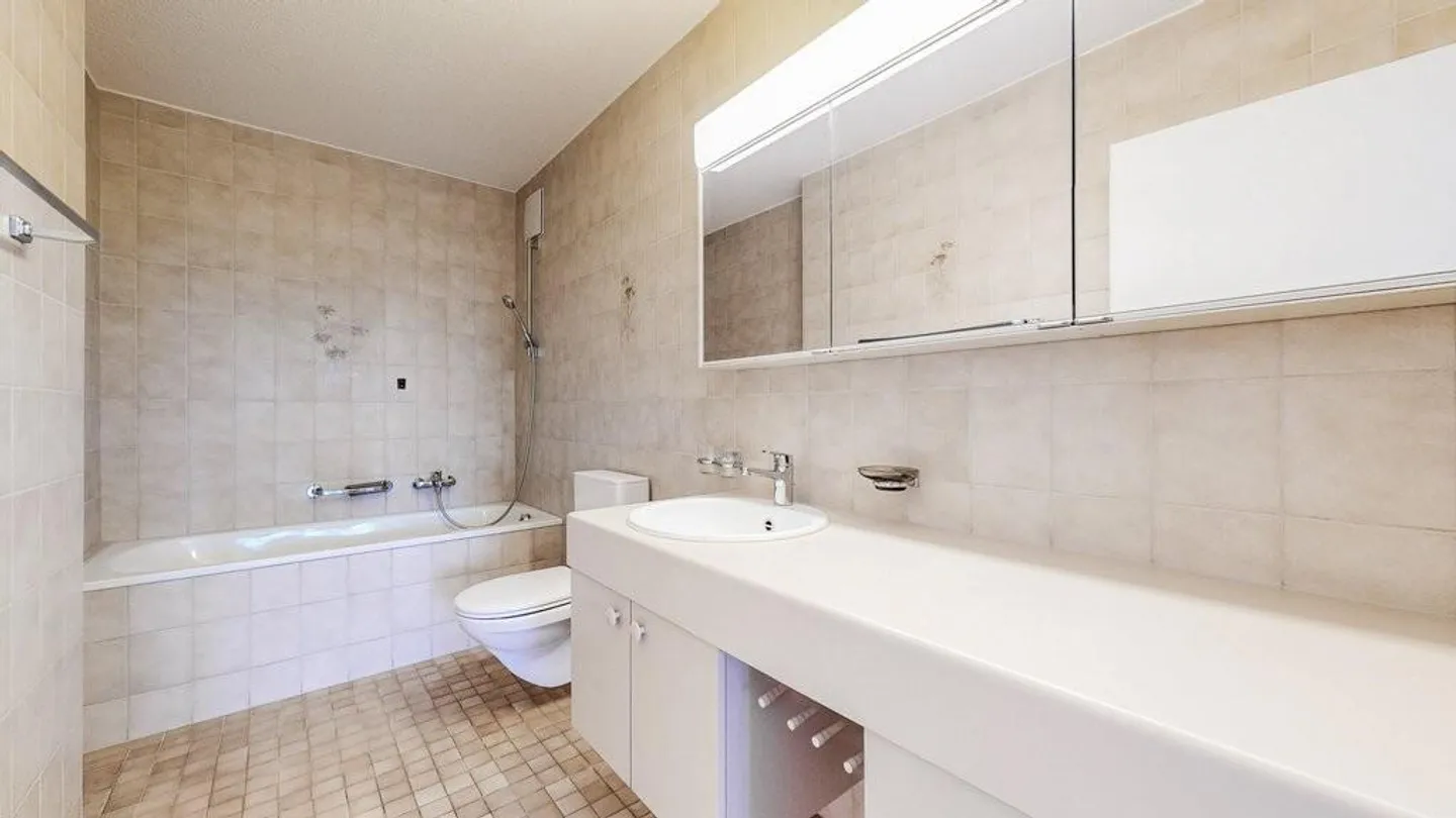 Large apartment seeks tenant! - Photo 4 of 10