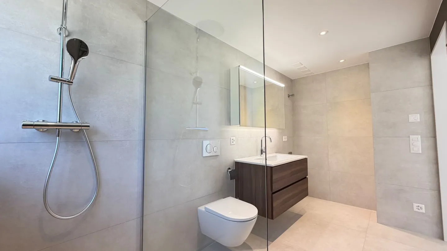 Newly renovated 3.5 and 4.5 room apartments - available separately or together in Oberwil - Photo 13 of 21
