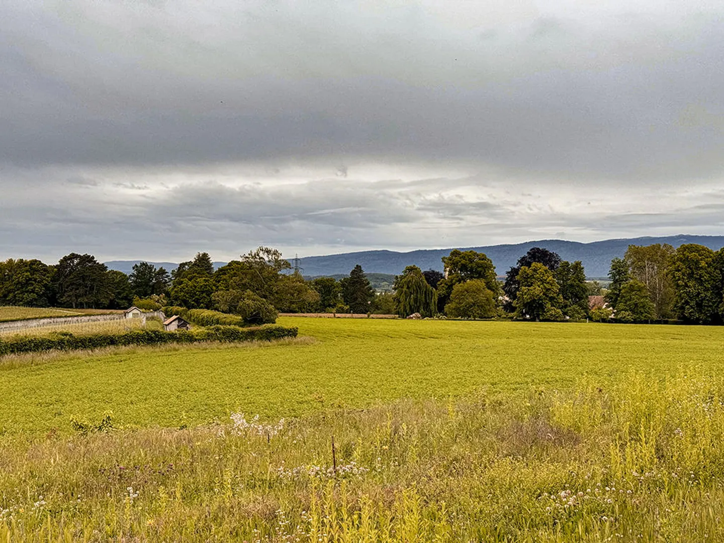 MORGES EST - MAGNIFICA VILLA CON VISTA IMPRENDIBILE IN UNA POSIZIONE TRANQUILLA - Foto 2 di 3