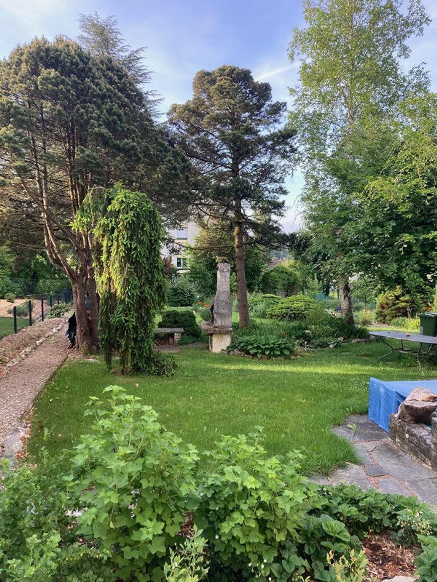 Una casa con anima e carattere – La tua nuova casa a Grenchen - Foto 19 di 20