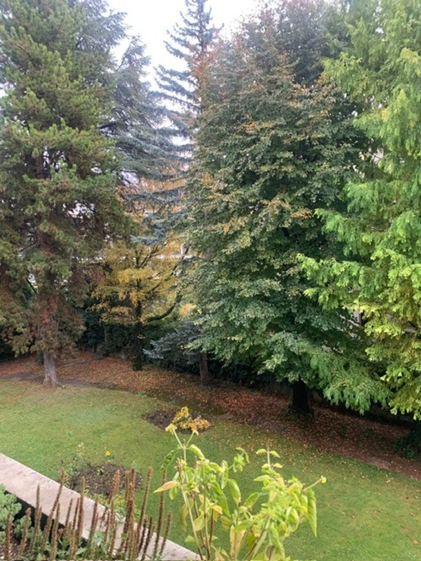 Appartamento 4.5 stanze - Foto 13 di 13