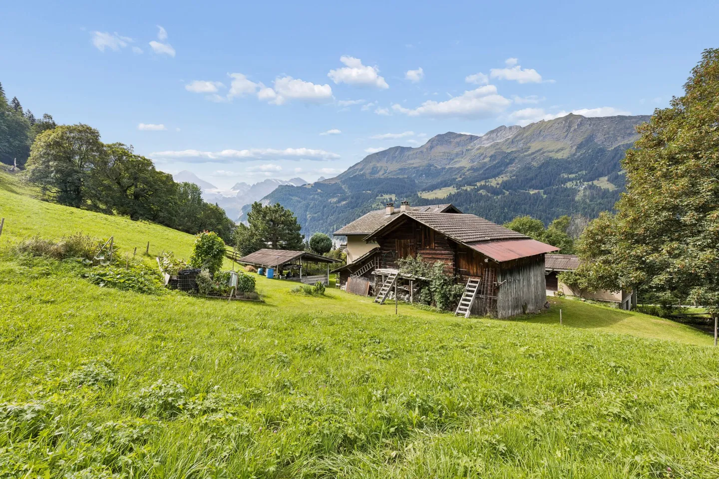 Attractive plot with development potential - Photo 8 of 13