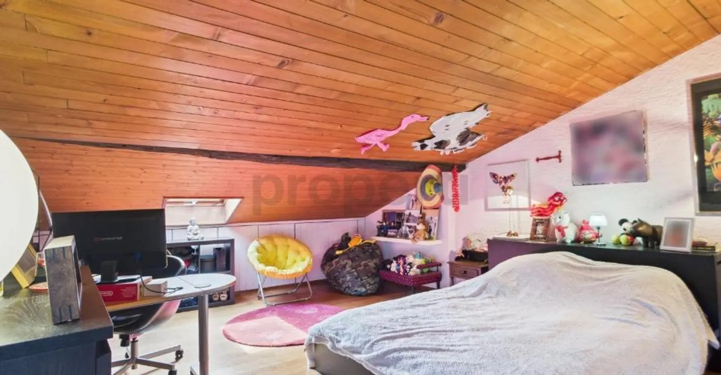 Grande maison de 11 pièces avec cachet  habitation, rendement ou projet mixte - Foto 8 di 13