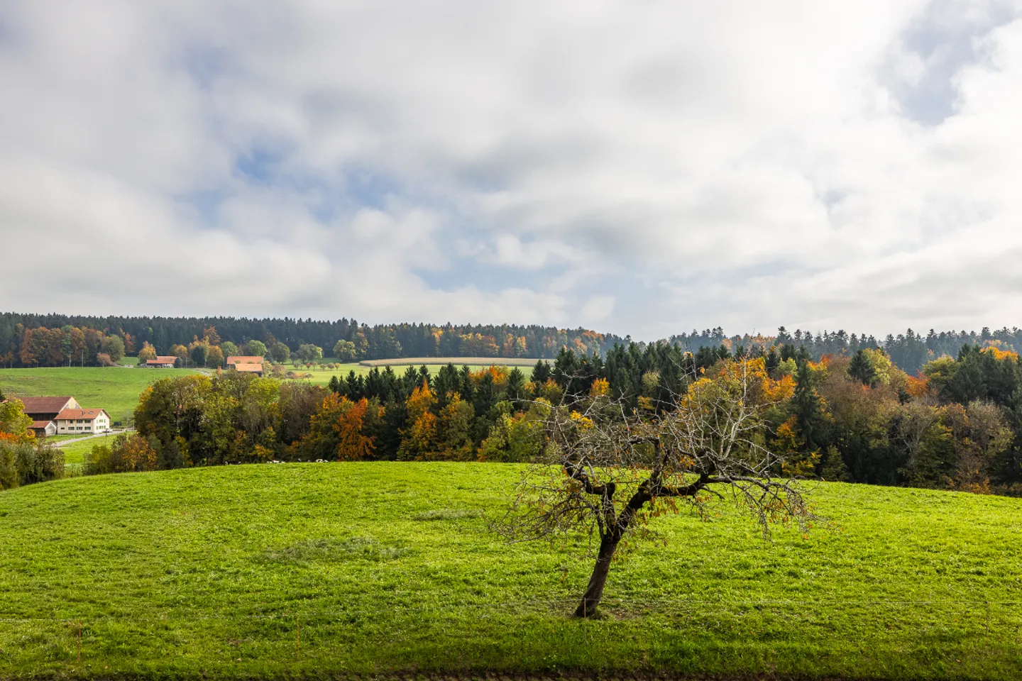 4.5 Room Apartment - Photo 4 of 7