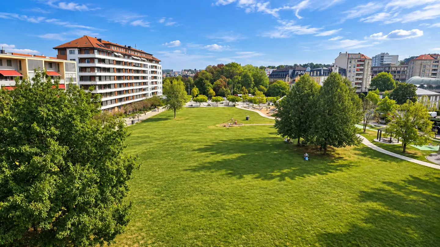 FRIBURGO, VIVERE LA CITTÀ, FACING GREENERY - Foto 3 di 12