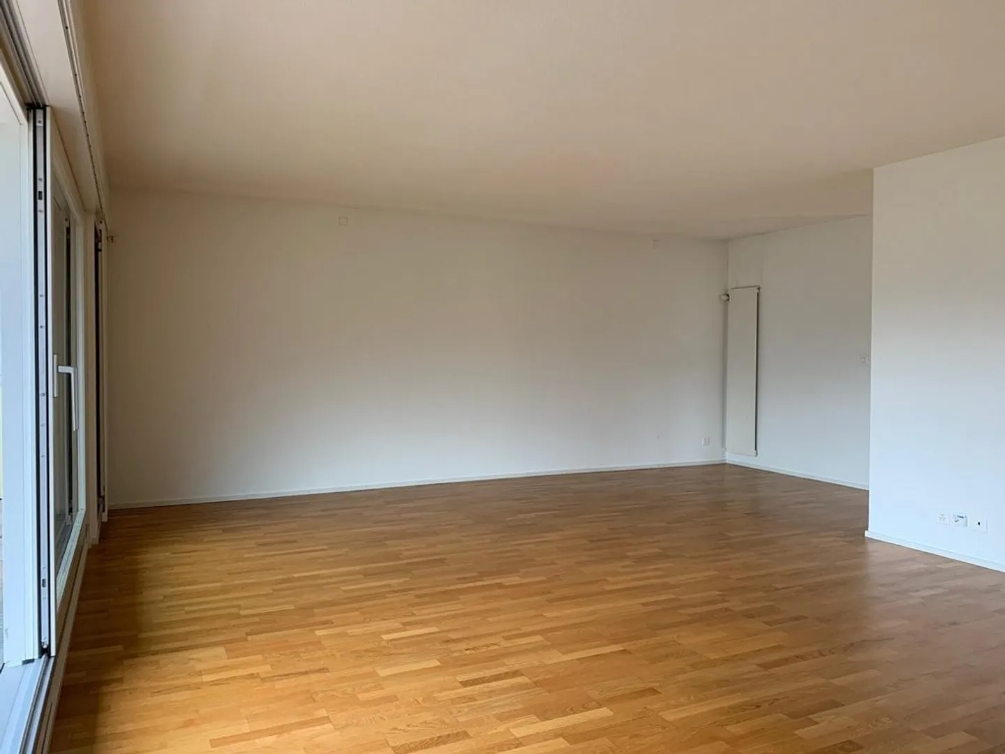 Appartement spacieux et beau au centre-ville - Photo 3 sur 11